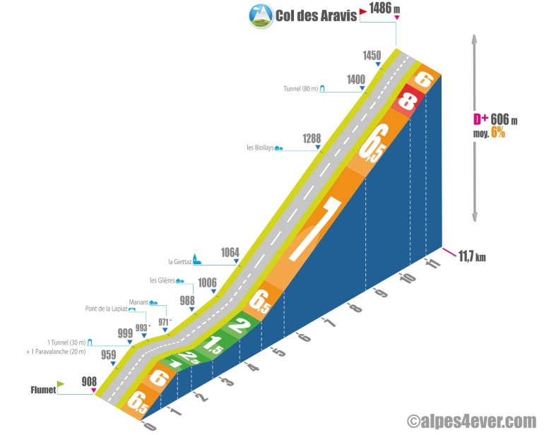 Col des aravis - profil sud 