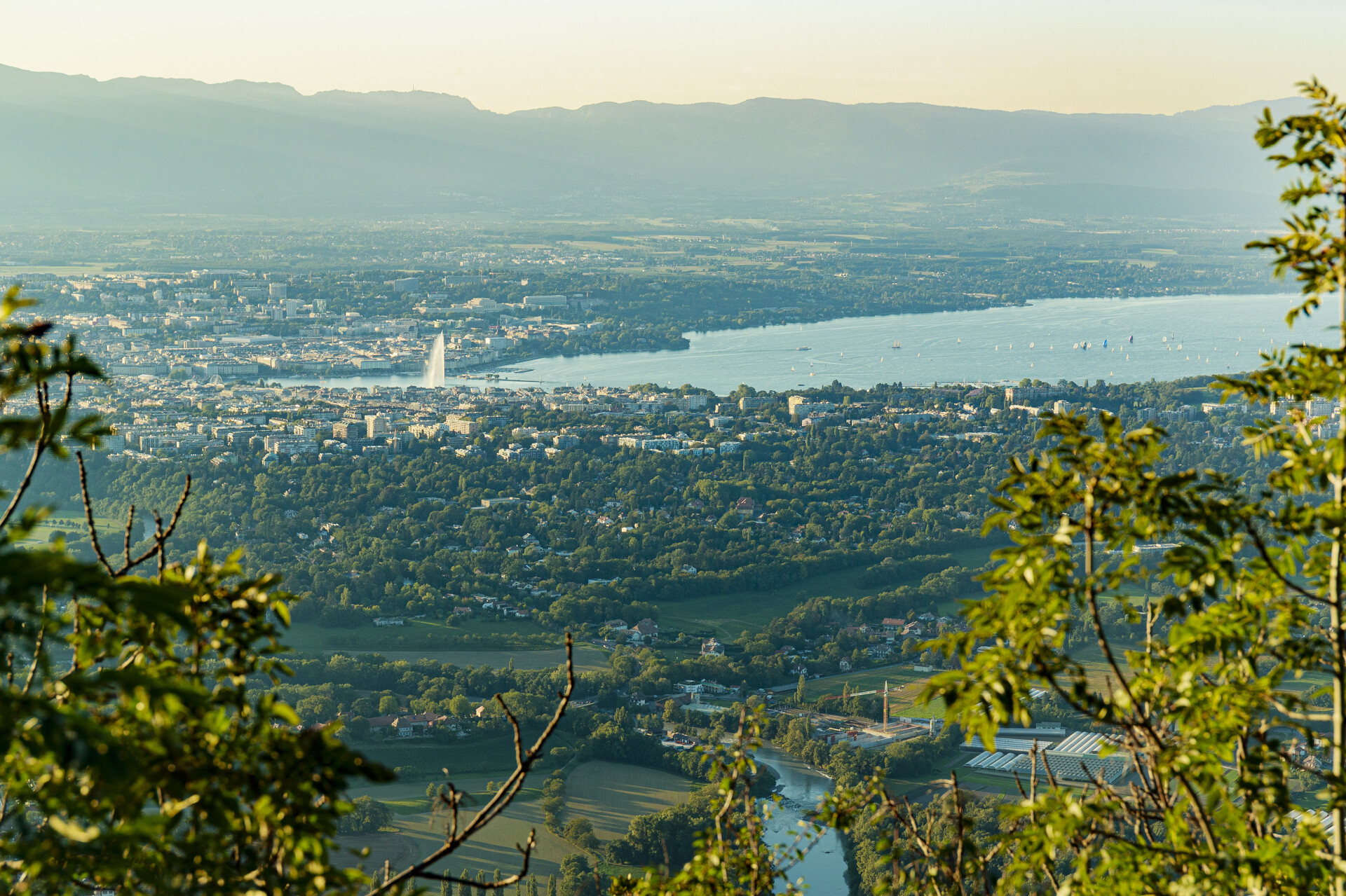 saleve au printemps