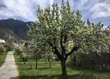 Le Catinat Fleuri