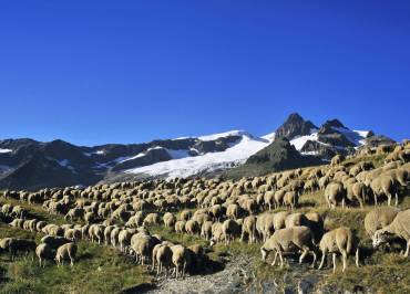 Vallée des Chapieux