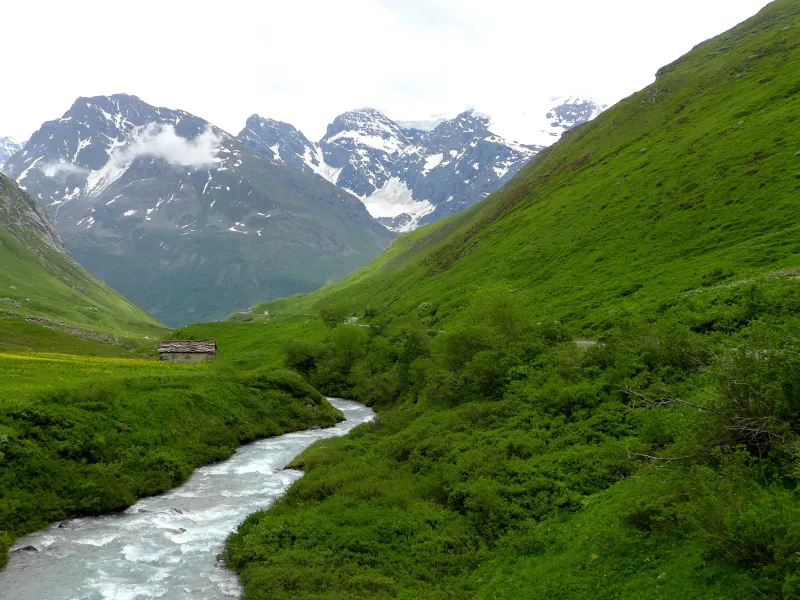 Pastos alpinos en Bonneval-sur-Arc
