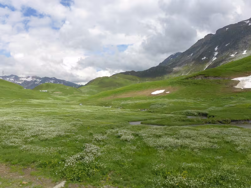 Pastos alpinos de Beaufortain