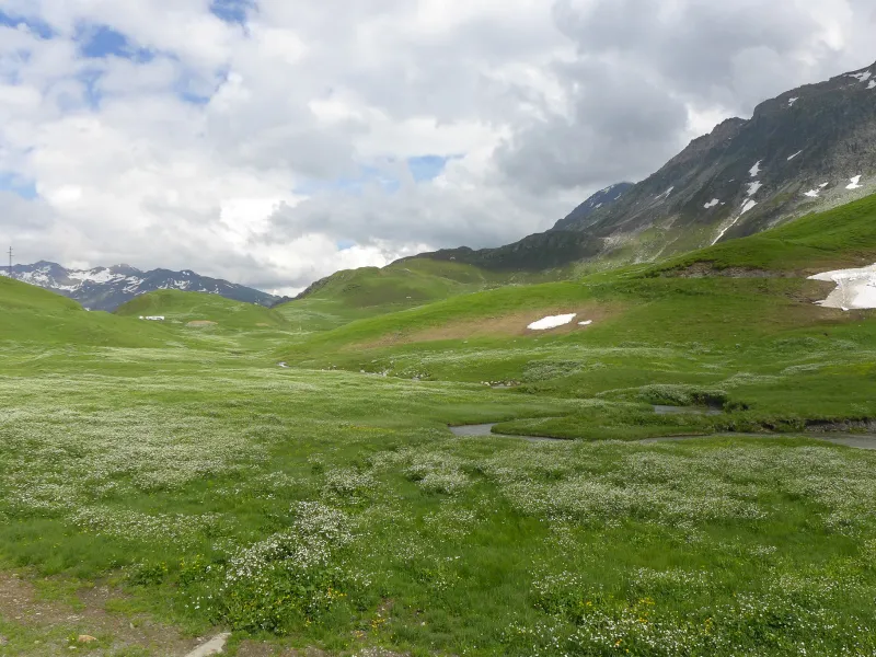 Pastos alpinos de Beaufortain