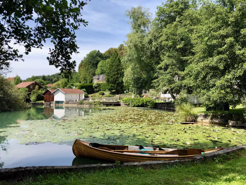 Paseos en barca por las marismas del lago de Aiguebelette