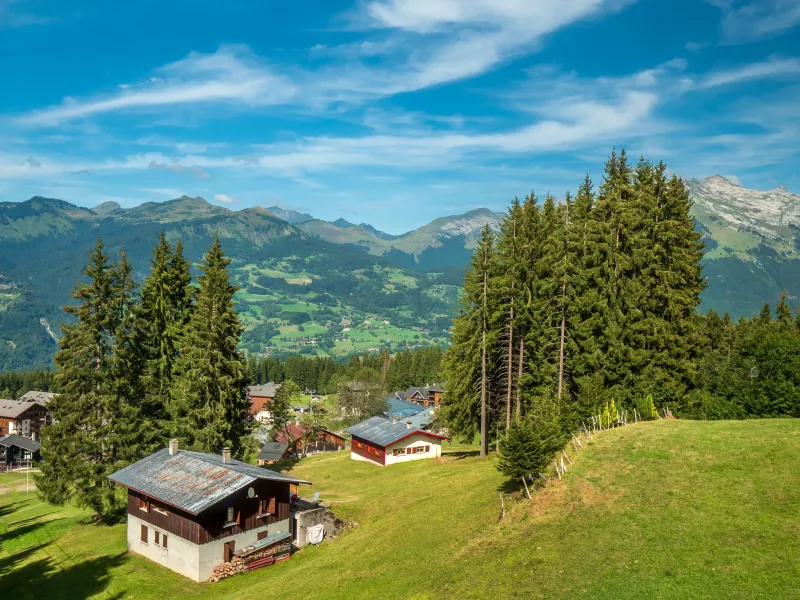 Chalets en Morillon Les Esserts