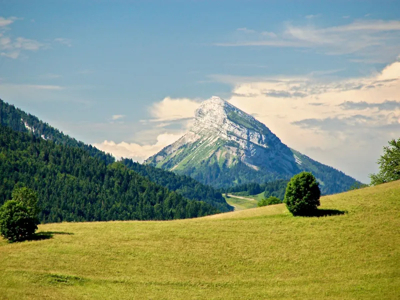 Chamchaude, emblema meridional de la región de Chartreuse