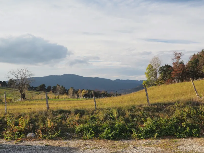 Campos y cercados típicos del Vercors