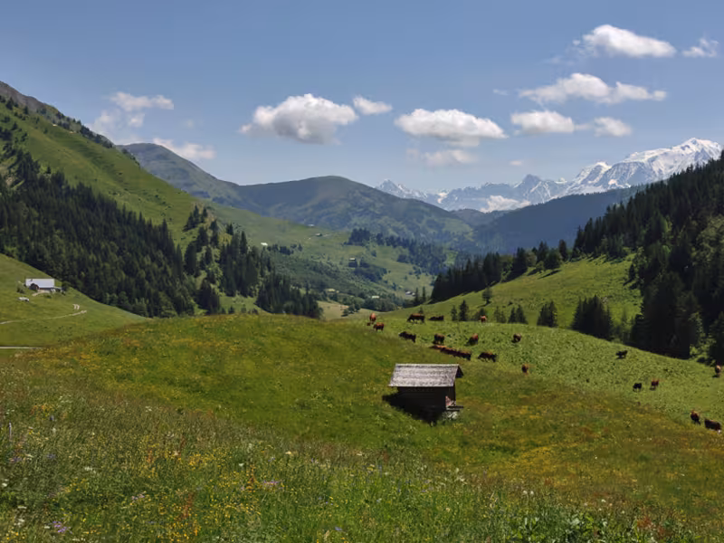 Paso de Aravis