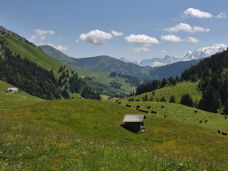 Paso de Aravis