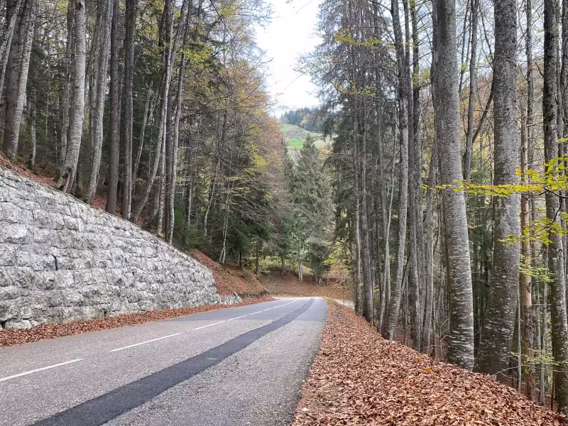 Descenso del Col du Feu a Lullin