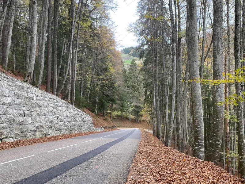Descenso del Col du Feu a Lullin
