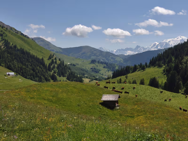 Descenso hacia el Val d'Arly desde el Col des Aravis