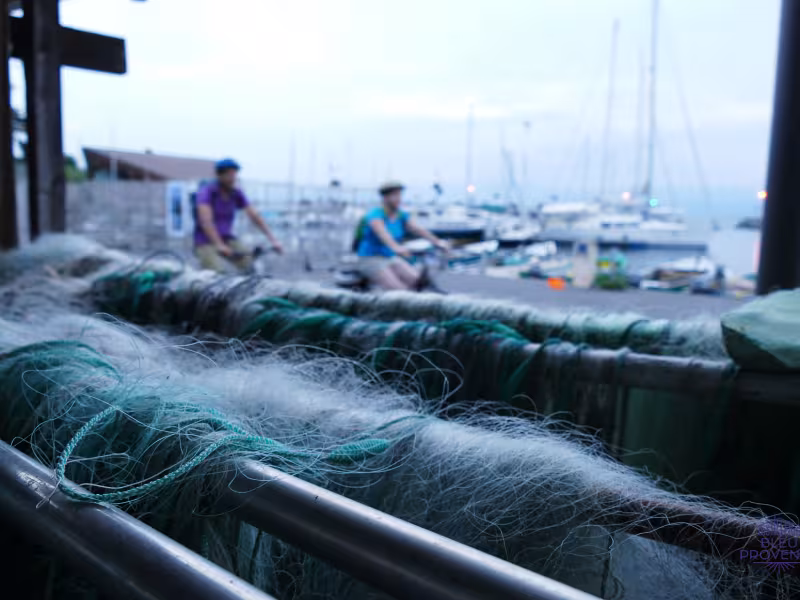 Adoquinado del puerto de Thonon-les-Bains
