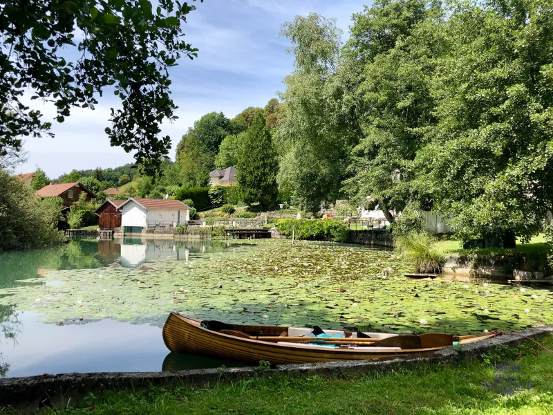 Navegar por las marismas del lago de Aiguebelette
