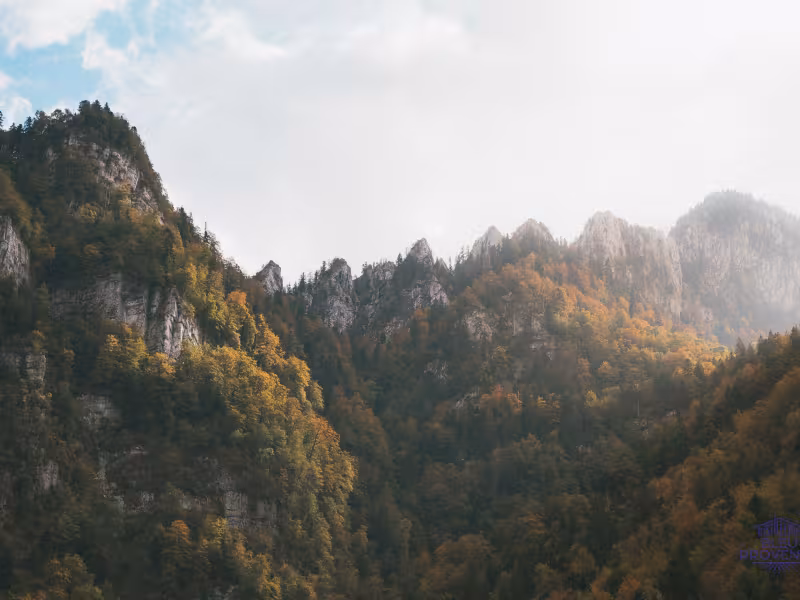 Otoño en el Chartreuse