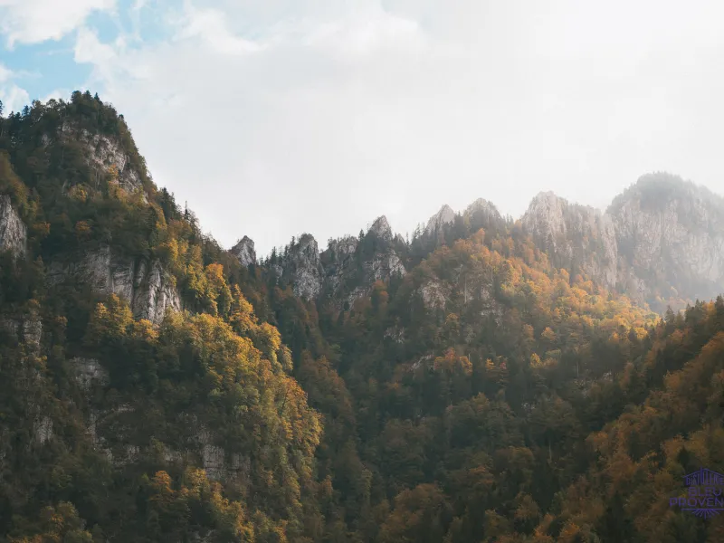 Otoño en el Chartreuse
