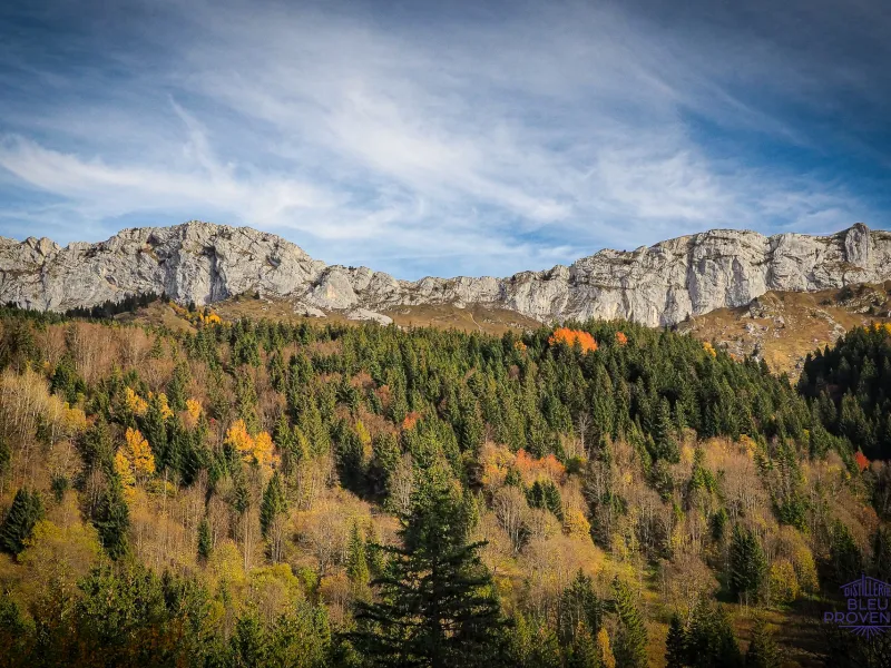 Ambiente otoñal en Villard-de-Lans