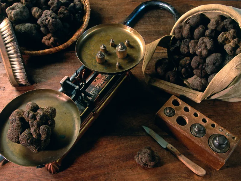 Trufas, los diamantes negros de la Provenza