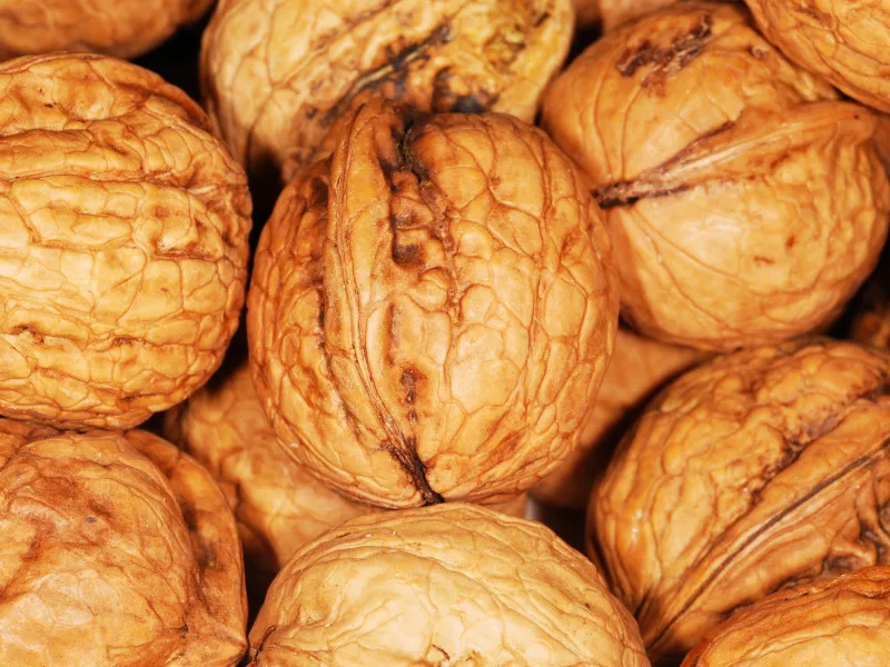 Nueces de Montmorin