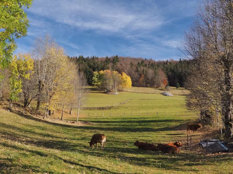 Paisaje del Vercors 4 Montañas alrededor de Villard-de-Lans