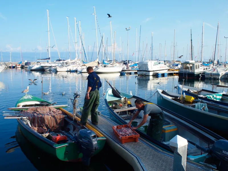Pesca en el lago Lemán