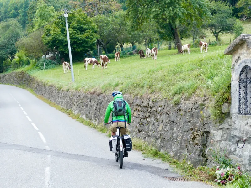 Pedalear en un ambiente de pastos de montaña con vacas por las carreteras de la región de Chablais