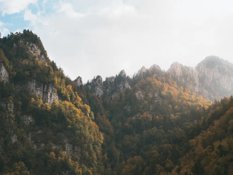 Otoño en el Chartreuse