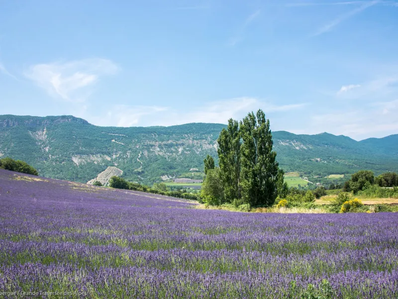 Routes de la lavande à vélo