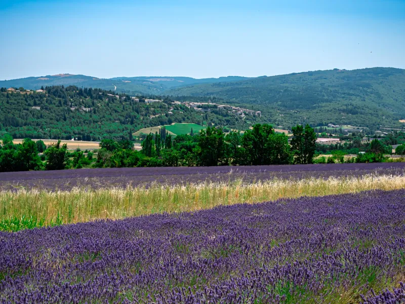 Routes de la lavande à vélo