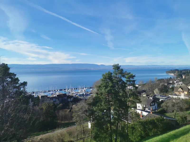 Vista del puerto de Thonon-les-bains