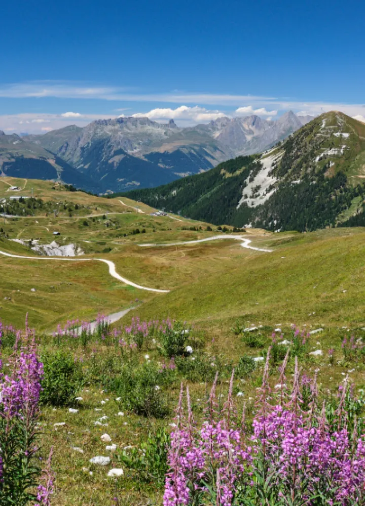 Monte_de_La_Plagne