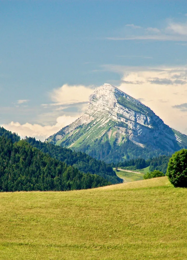 Chamchaude, emblema meridional de la región de Chartreuse