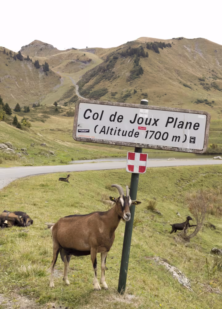 panel col de joux plano
