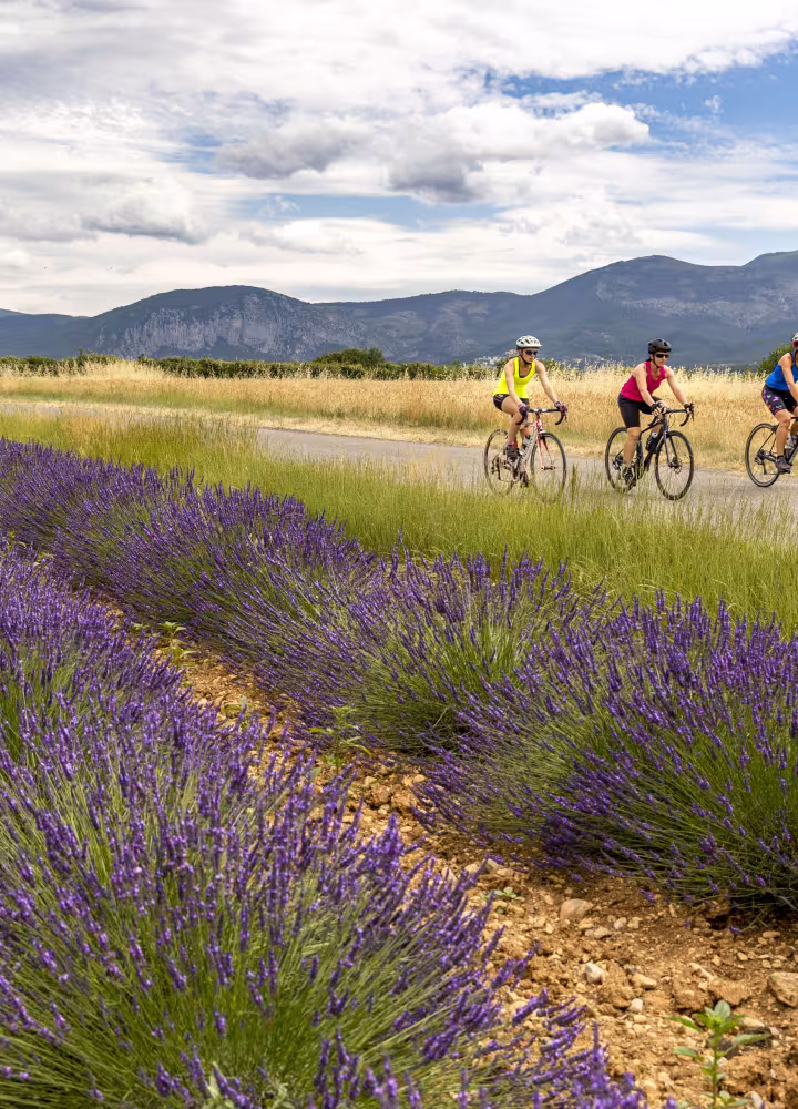 vélo route haute provence