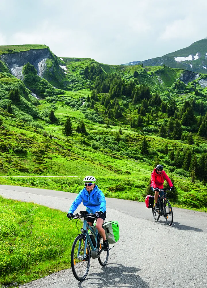 Bicicleta de montaña asistida eléctricamente con BOSCH
