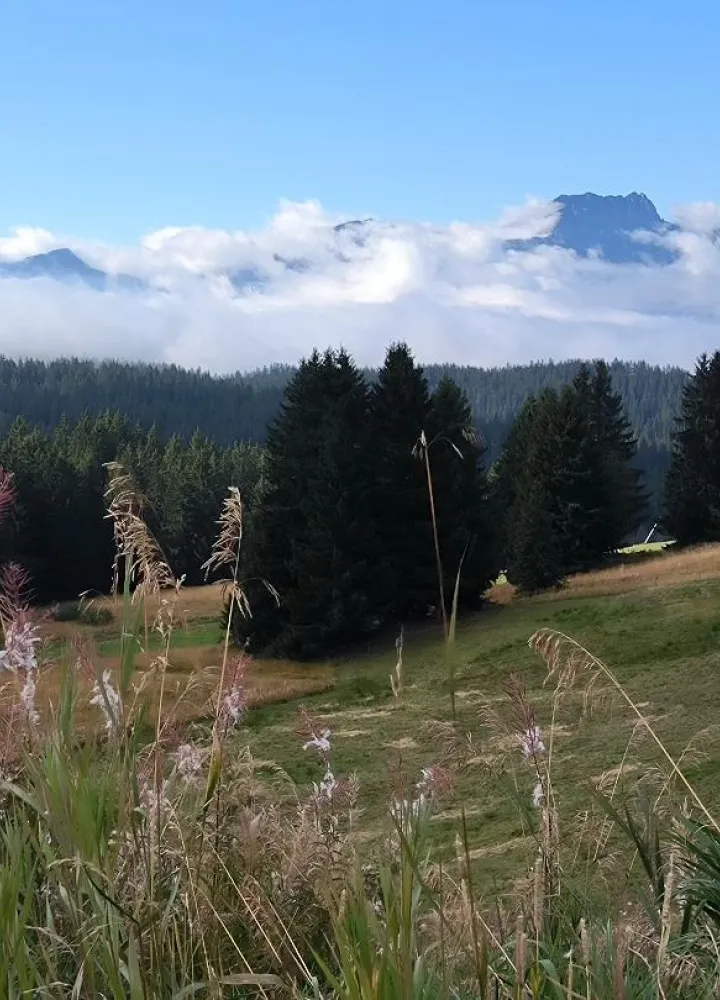 Les Saisies ruta de los grandes alpes