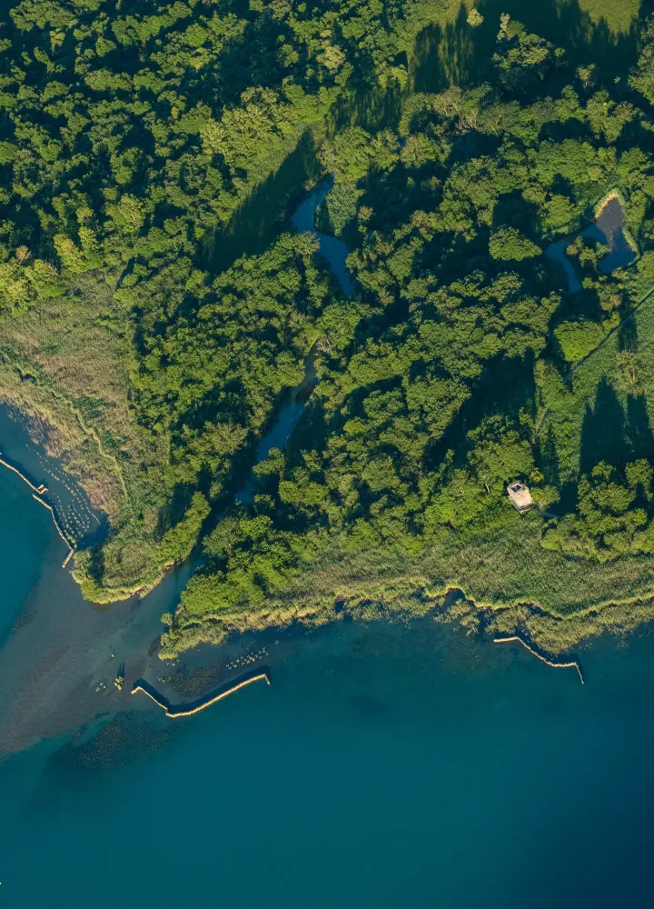 Doussard desde el cielo
