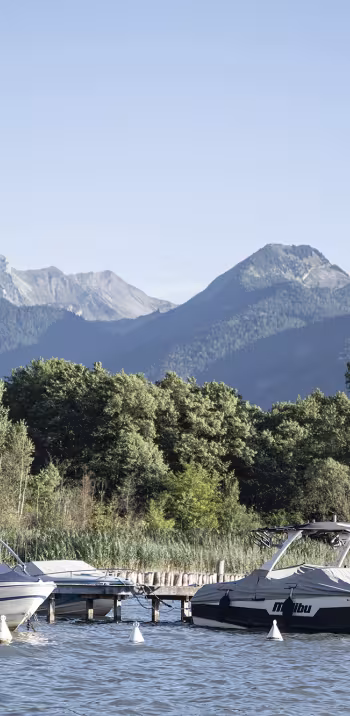 Fuentes del lago de Annecy - 1