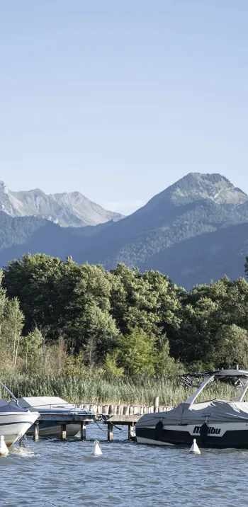 Fuentes del lago de Annecy - 1