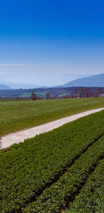 Hacia el sur por las pistas de grava del Mont Sion