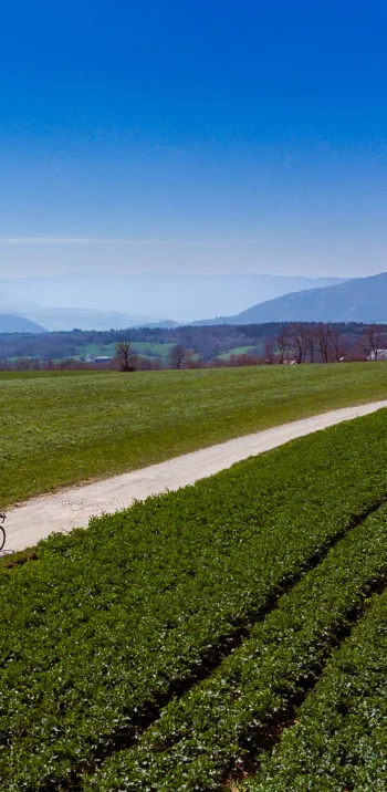 Hacia el sur por las pistas de grava del Mont Sion