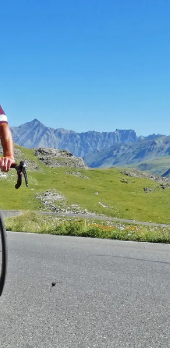 Agencia Belle Allure