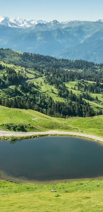 Lac_de_Joux_Plano_10.jpg