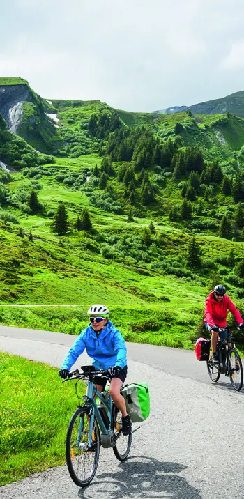 Bicicleta de montaña asistida eléctricamente con BOSCH