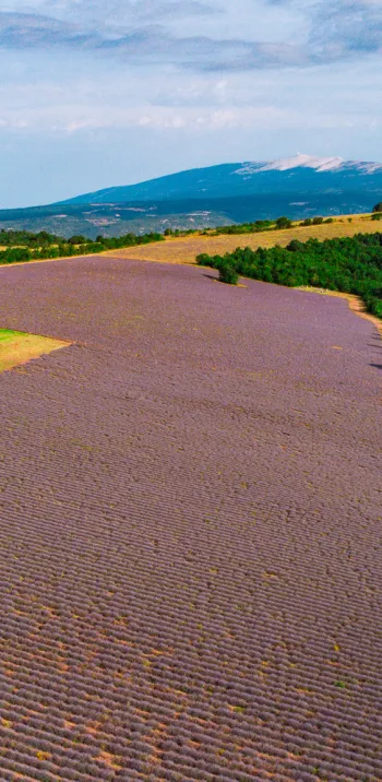 dji_0518.jpg