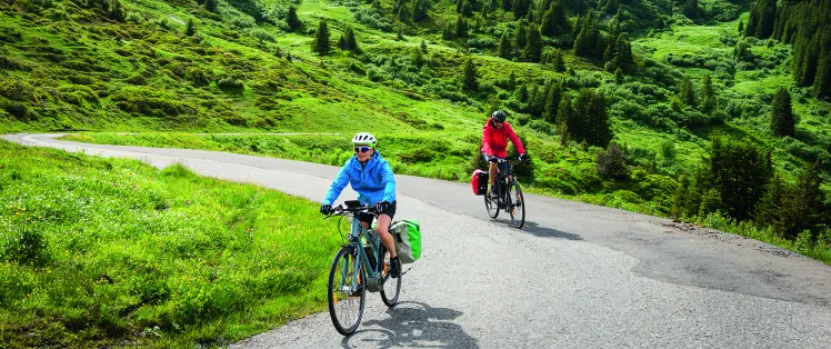 Bicicleta de montaña asistida eléctricamente con BOSCH