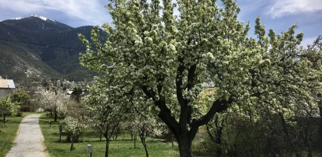Le Catinat Fleuri