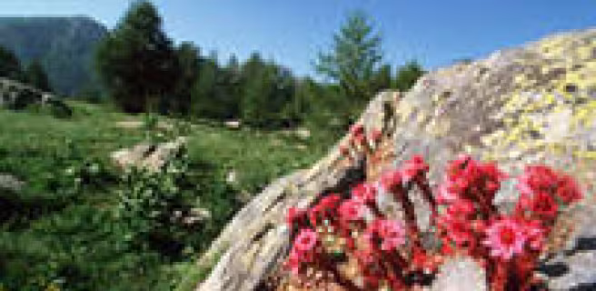 Parc national du Mercantour