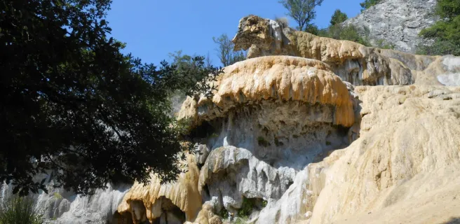 The petrifying fountain