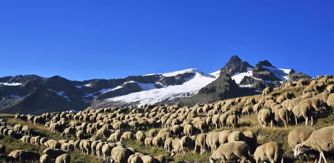 Vallée des Chapieux